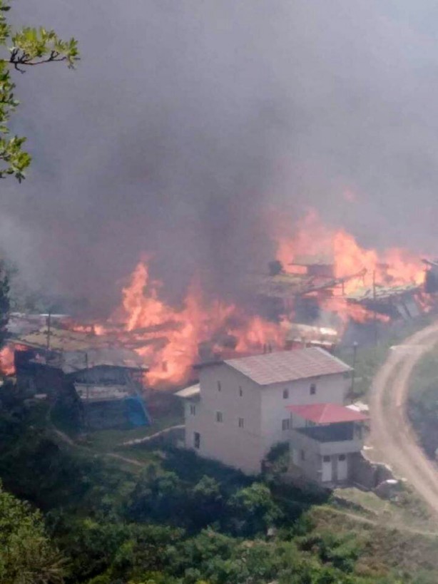 Foto - Artvin'deki yangından içler acısı görüntüler