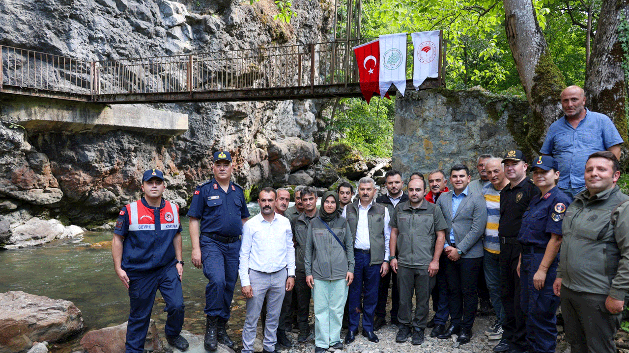 Foto - Artvin'in derelerinden alabalık akacak! 2 yılda 129 bin yavru bırakıldı 