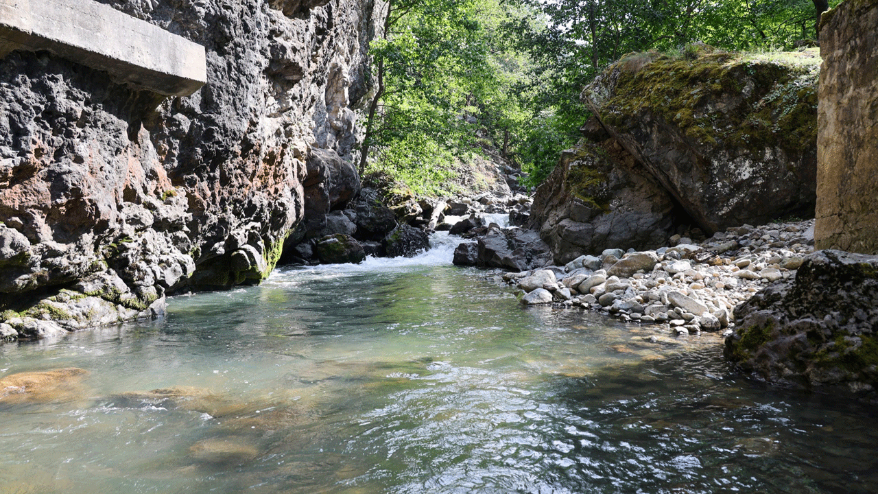 Foto - Artvin'in derelerinden alabalık akacak! 2 yılda 129 bin yavru bırakıldı 
