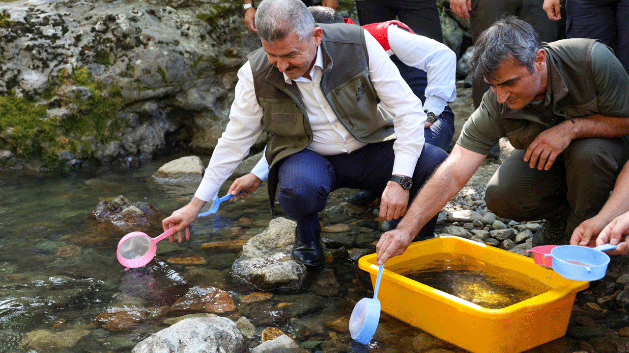 Foto - Artvin'in derelerinden alabalık akacak! 2 yılda 129 bin yavru bırakıldı 