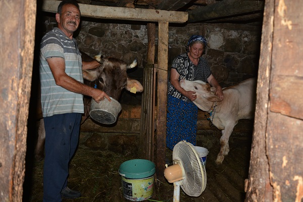 Foto - Artvinli çiftçiden duygulandıran hareket!