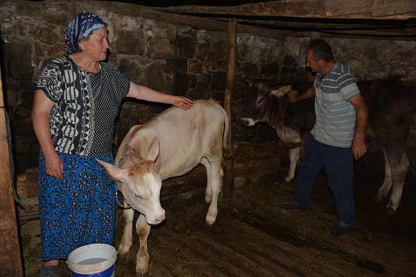 Foto - Artvinli çiftçiden duygulandıran hareket!
