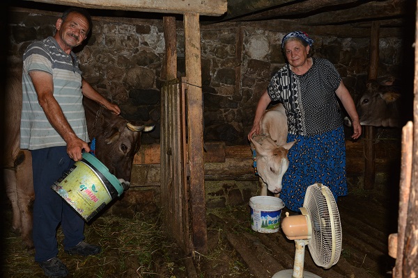 Artvinli çiftçiden duygulandıran hareket!