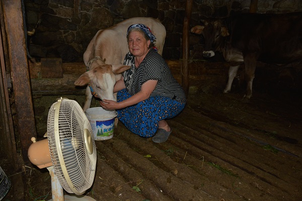 Foto - Artvinli çiftçiden duygulandıran hareket!