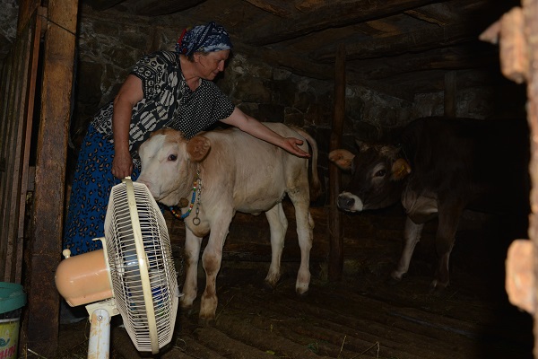 Foto - Artvinli çiftçiden duygulandıran hareket!