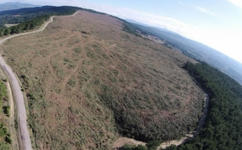 Foto - ASELSAN üretti! Ormanın derinliklerine yerleştirilecek... Düşmanı allak bullak edecek sistem