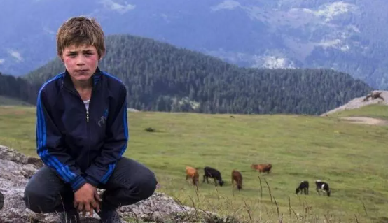 Foto - ASELSAN üretti! Ormanın derinliklerine yerleştirilecek... Düşmanı allak bullak edecek sistem