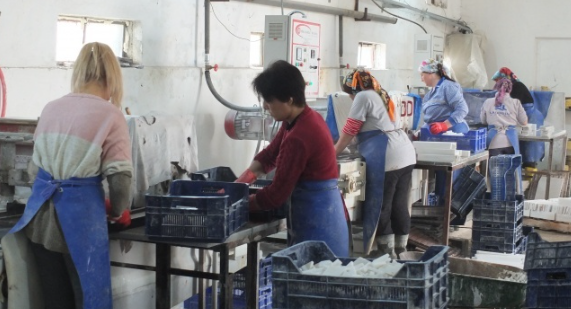 Asgari ücrete enflasyon ayarı! En az 7 bin TL fark! Zam oranı ne kadar olacak? 