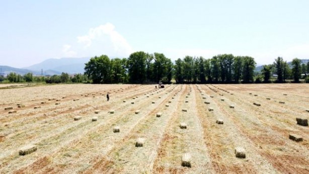 Foto - Asgari ücretle çalışıyorlardı kendi işlerini kurdular! 2021 ciro hedefleri 2 milyon TL