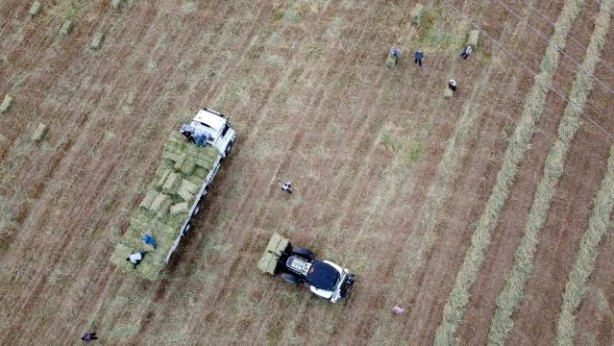 Foto - Asgari ücretle çalışıyorlardı kendi işlerini kurdular! 2021 ciro hedefleri 2 milyon TL