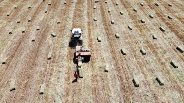 Foto - Asgari ücretle çalışıyorlardı kendi işlerini kurdular! 2021 ciro hedefleri 2 milyon TL