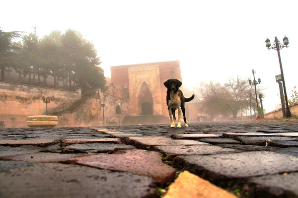 Foto - Ashab-ı Kehf yoğun sis içinde kaldı