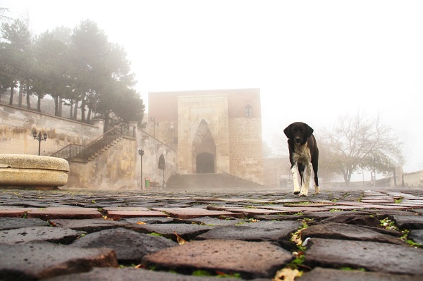Foto - Ashab-ı Kehf yoğun sis içinde kaldı