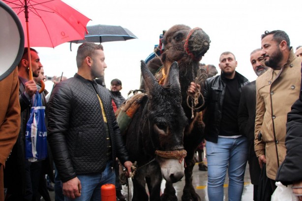 Aşı karşıtlarından 'eşek' ve 'deve'li protesto!