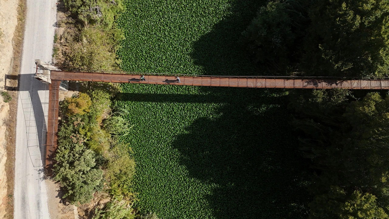 Foto - Asi Nehri kayboldu! Su sümbülleri nehri tamamen yuttu
