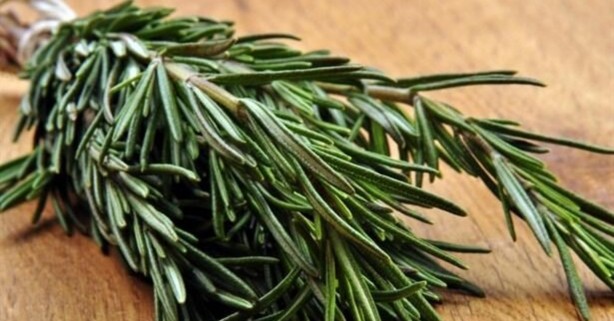 Foto - Aşı tartışmaları sürerken Türk isim koronavirüsün panzehrini açıkladı