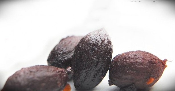 Foto - Asıl antibiyotik eczanede değil evimizdeymiş! İbrahim Saraçoğlu "Sakın atmayın" deyip gizli kür tarifini verdi! Boğaza sarınca bakın neler oluyor neler