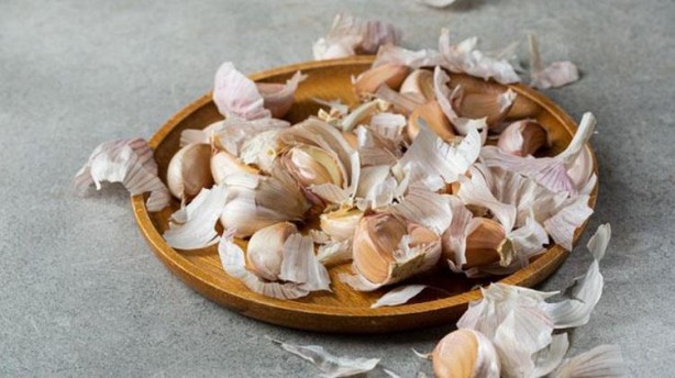 Foto - Asıl şifa sarımsağın kabuğunda saklı! Çöpe atanlar bin pişman