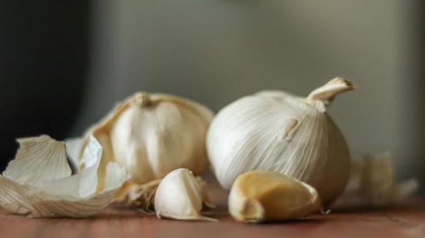 Foto - Asıl şifa sarımsağın kabuğunda saklı! Çöpe atanlar bin pişman