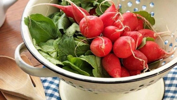 Foto - Asıl şifa yapraklarında gizli