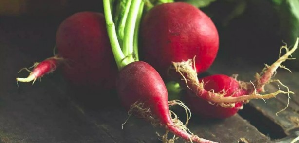 Foto - Asıl şifa yapraklarında gizli