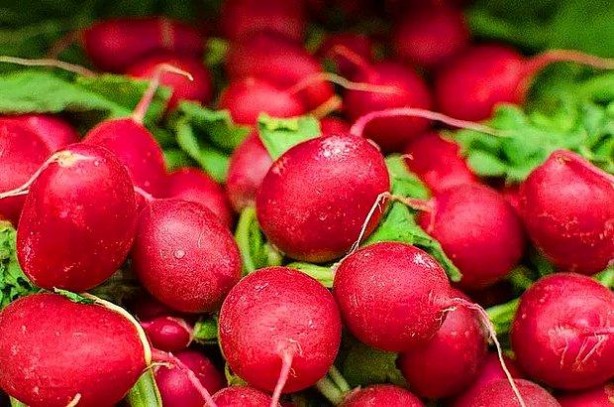 Foto - Asıl şifa yapraklarında gizli