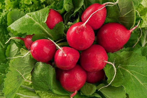 Foto - Asıl şifa yapraklarında gizli