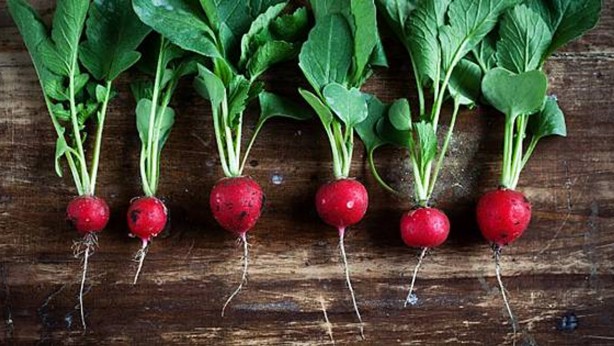 Foto - Asıl şifa yapraklarında gizli