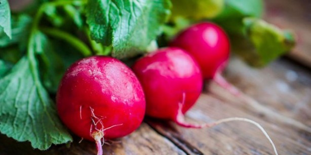 Foto - Asıl şifa yapraklarında gizli