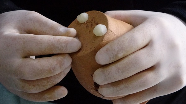 Foto - Asırlara meydan okuyan eserlerin sırrı ne? 