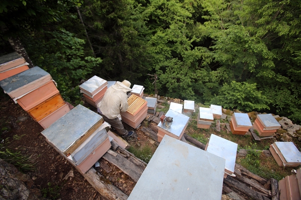 Foto - Asırlardır kayalar üzerinde üretiyorlar