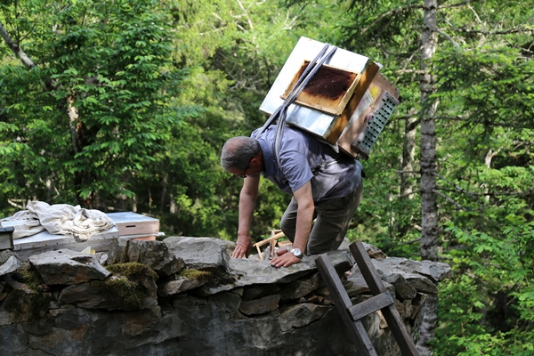 Foto - Asırlardır kayalar üzerinde üretiyorlar