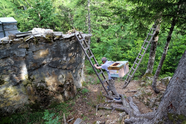 Foto - Asırlardır kayalar üzerinde üretiyorlar