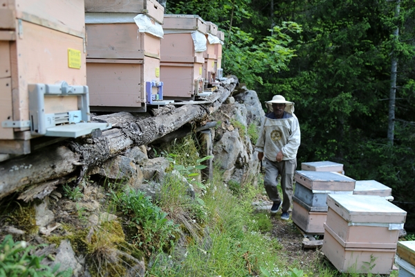 Foto - Asırlardır kayalar üzerinde üretiyorlar