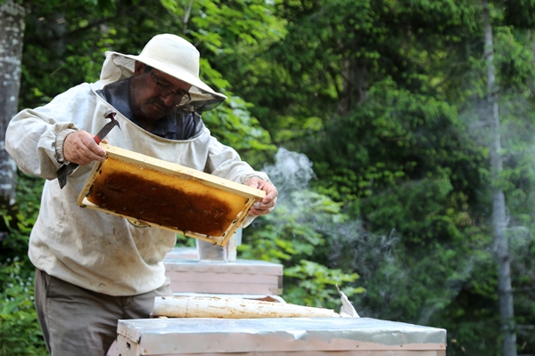 Foto - Asırlardır kayalar üzerinde üretiyorlar