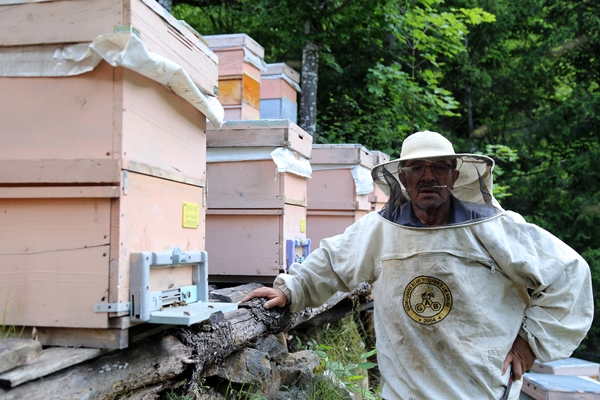 Foto - Asırlardır kayalar üzerinde üretiyorlar