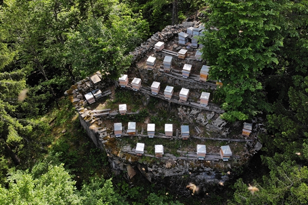 Asırlardır kayalar üzerinde üretiyorlar