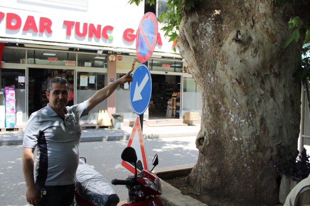 Foto - Asırlık çınar ağacının hikayesi duyanların yüreğini dağlıyor