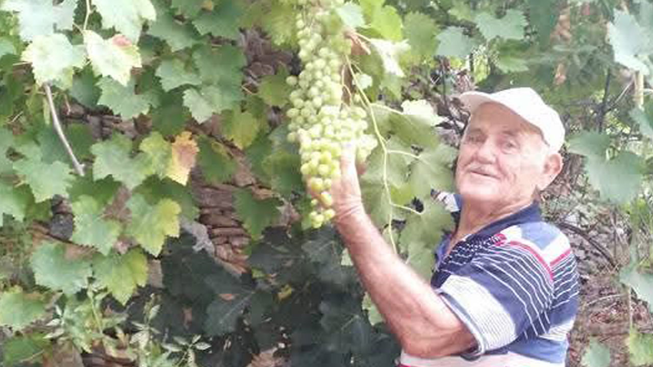 Foto - Asırlık gelenek sürüyor! Bu pekmezin sırrı külden geliyor
