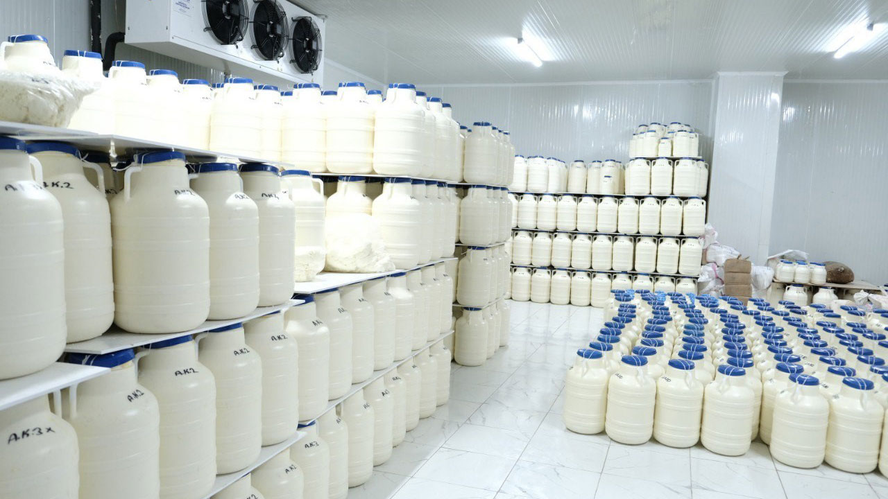 Foto - Asırlık gelenek yaylalarda sürüyor! Tulum peynirinin sofralara yolculuğu başladı