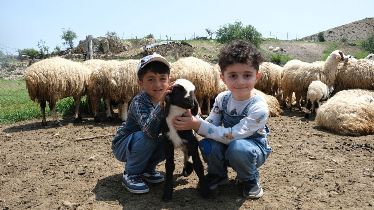 Foto - Asırlık gelenek yaylalarda sürüyor! Tulum peynirinin sofralara yolculuğu başladı