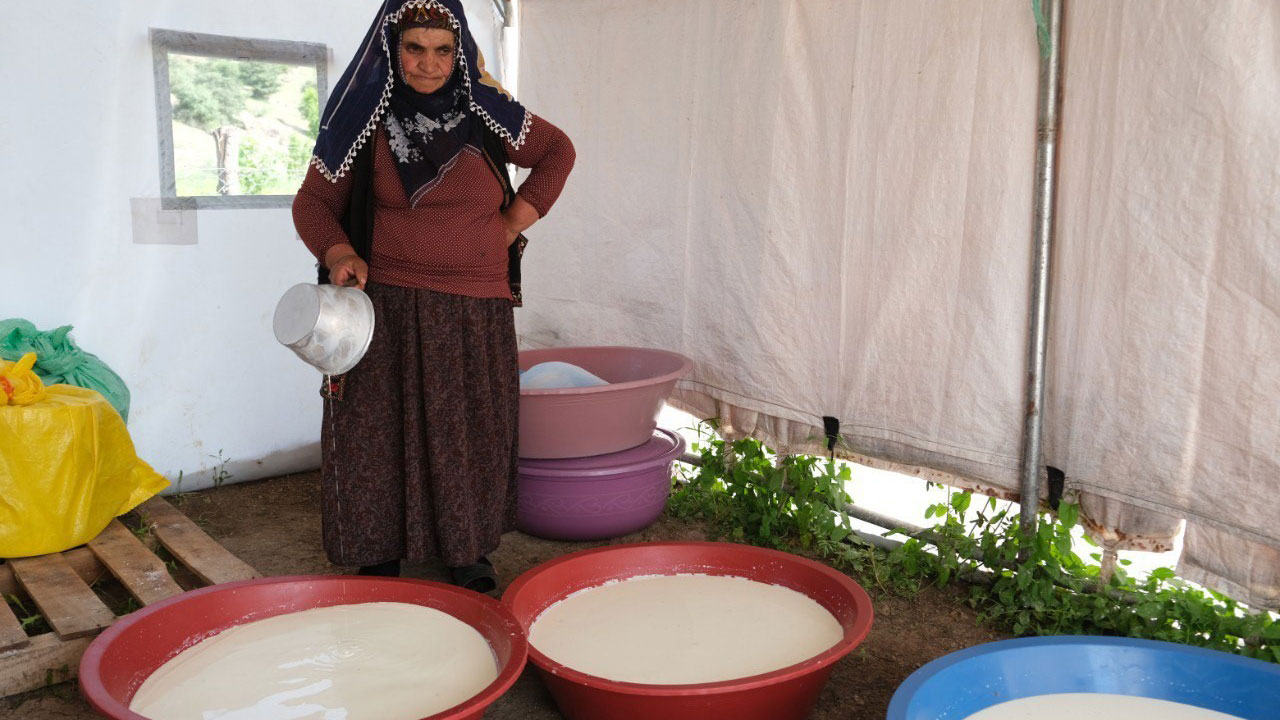 Foto - Asırlık gelenek yaylalarda sürüyor! Tulum peynirinin sofralara yolculuğu başladı