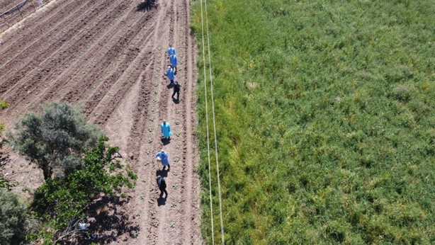 Foto - Aşısını çeltik tarlasında oldu