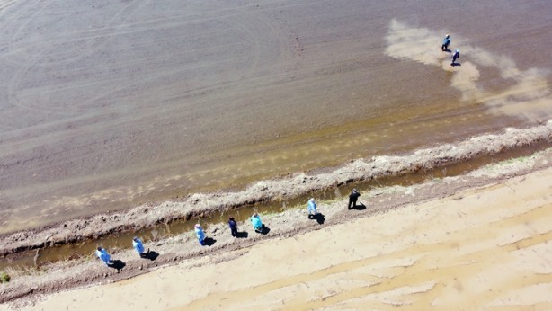 Aşısını çeltik tarlasında oldu