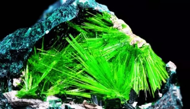 Foto - Askerin odasında uranyum bulundu