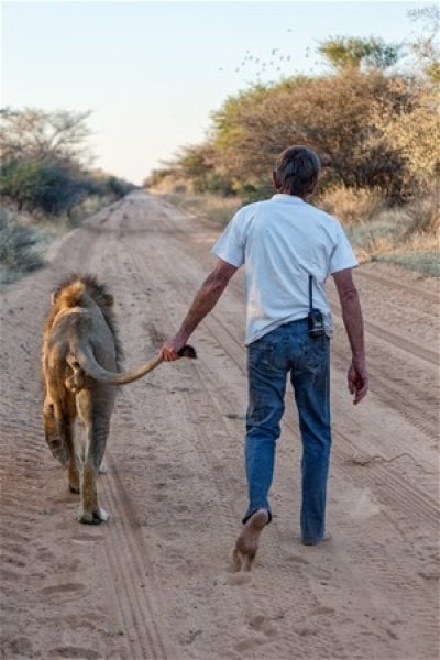 Aslan ve insanın mükemmel dostluğu