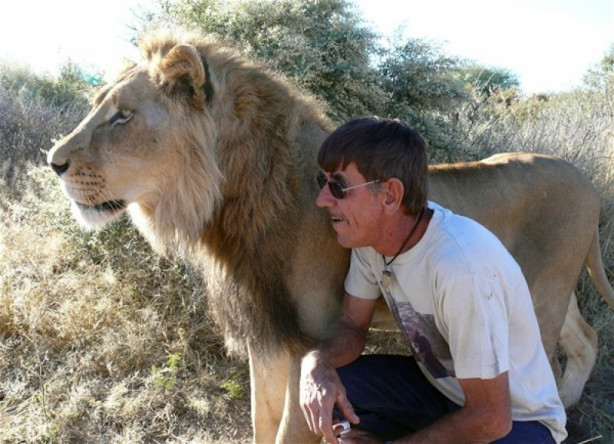 Foto - Aslan ve insanın mükemmel dostluğu