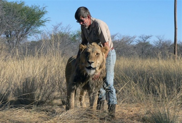Foto - Aslan ve insanın mükemmel dostluğu