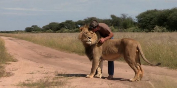 Foto - Aslan ve insanın mükemmel dostluğu