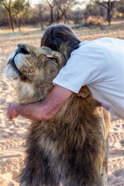 Foto - Aslan ve insanın mükemmel dostluğu